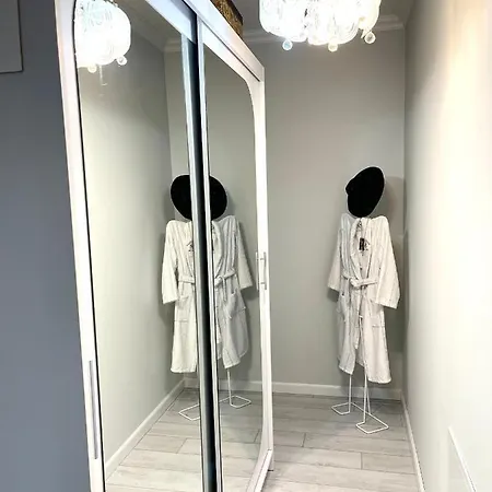 Am Piano & Bathtub 公寓 蒂米什瓦拉