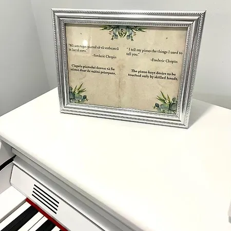 Am Piano & Bathtub 蒂米什瓦拉
