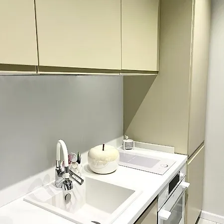 With Piano & Bathtub Am 13 شقة تيميشورا